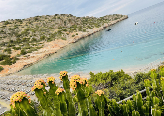 Bild Luxusurlaub auf Kreta im Daios Cove Luxury Resort & Villas Reisebericht